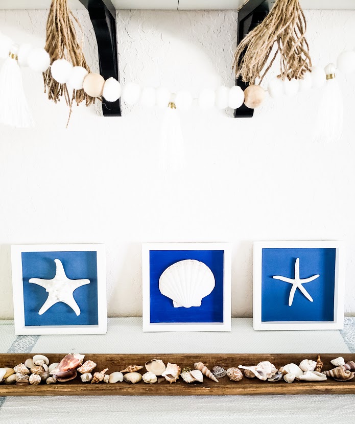 Trio of white framed sea shells with blue background