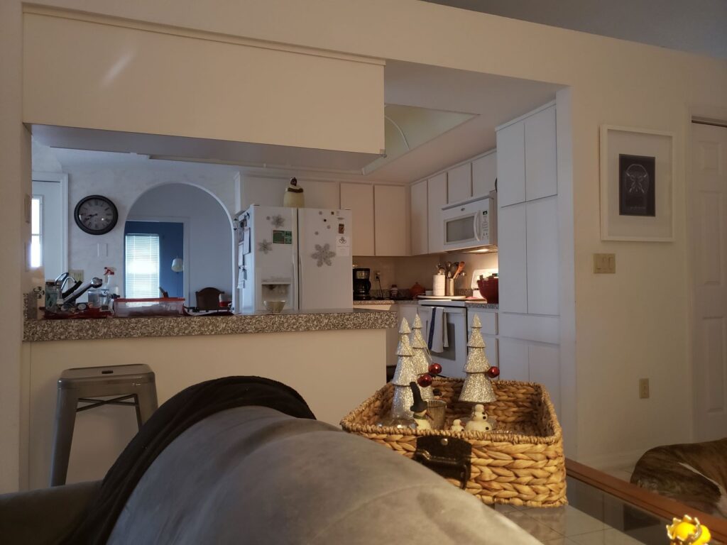 A picture of our kitchen showing the wall behind the refrigerator.