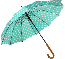 A picture of my sweet aqua polka-dot umbrella