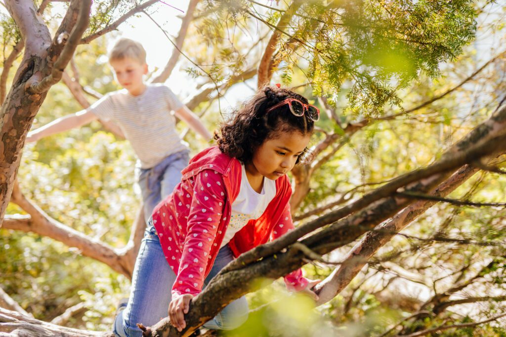 2 children climbing in a tree