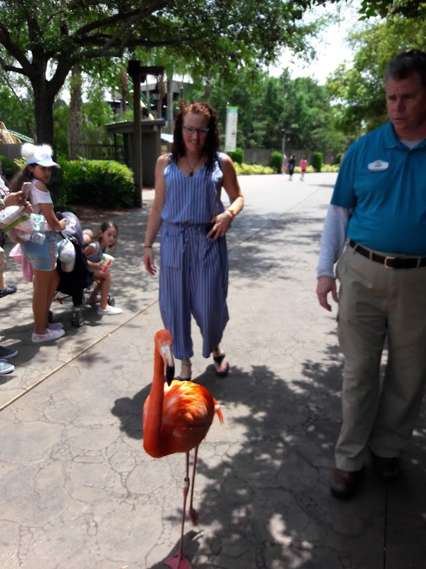 woman walking with a flamingo
