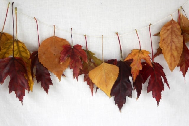 colorful fall leaves strung on a string