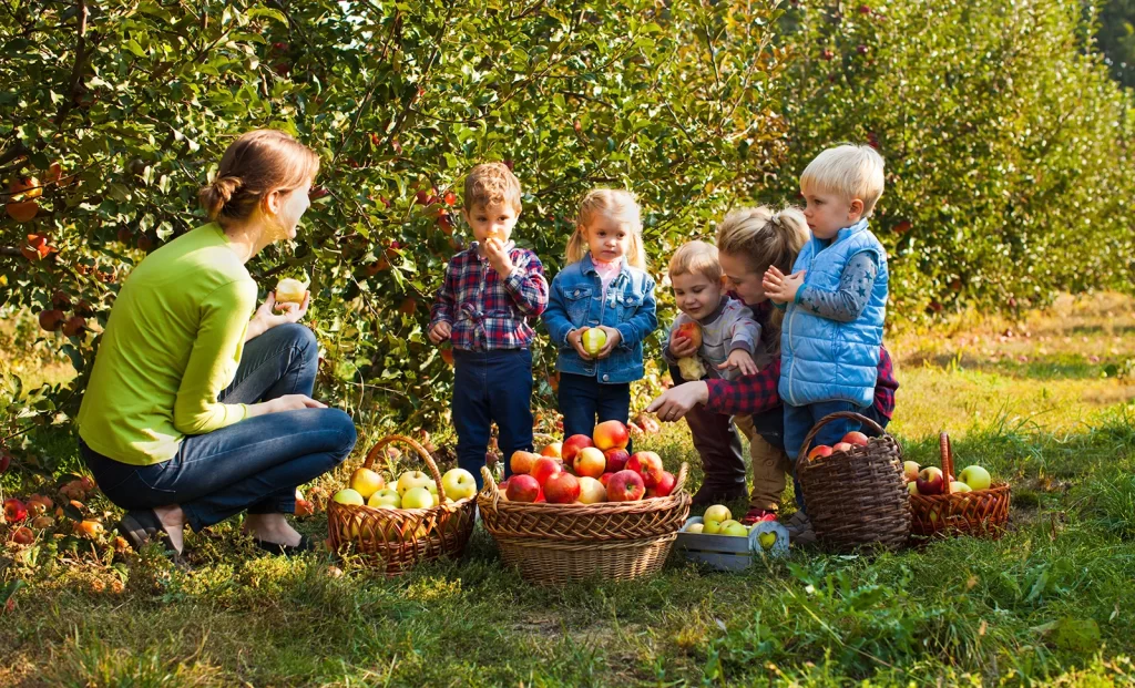 family picking apples