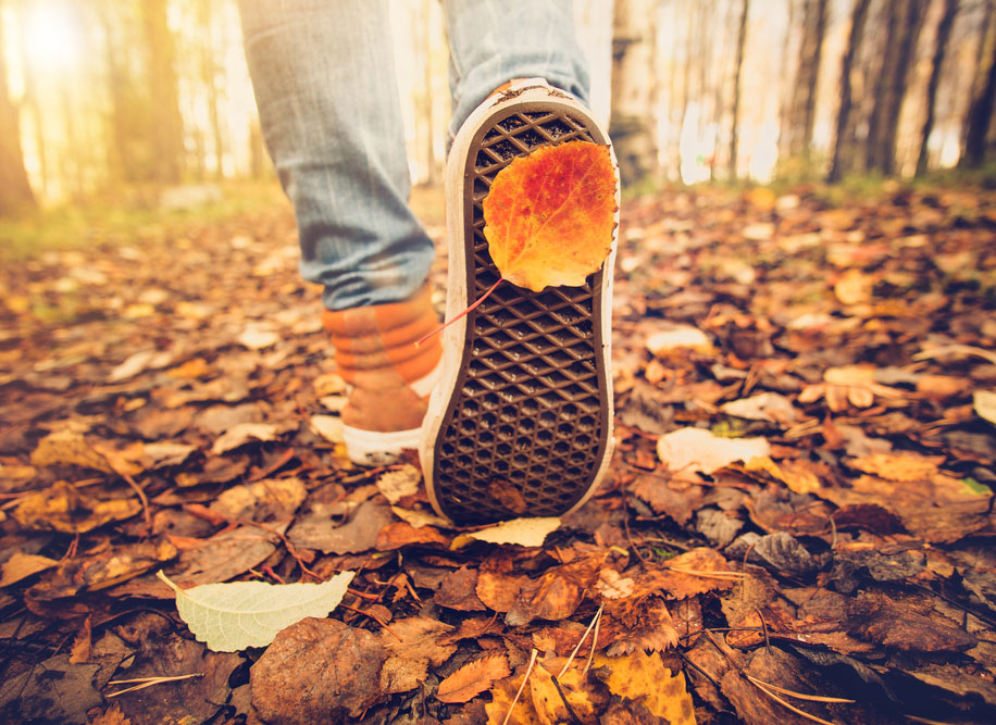 close up of a person's shoes walking through fallen autumn leaves