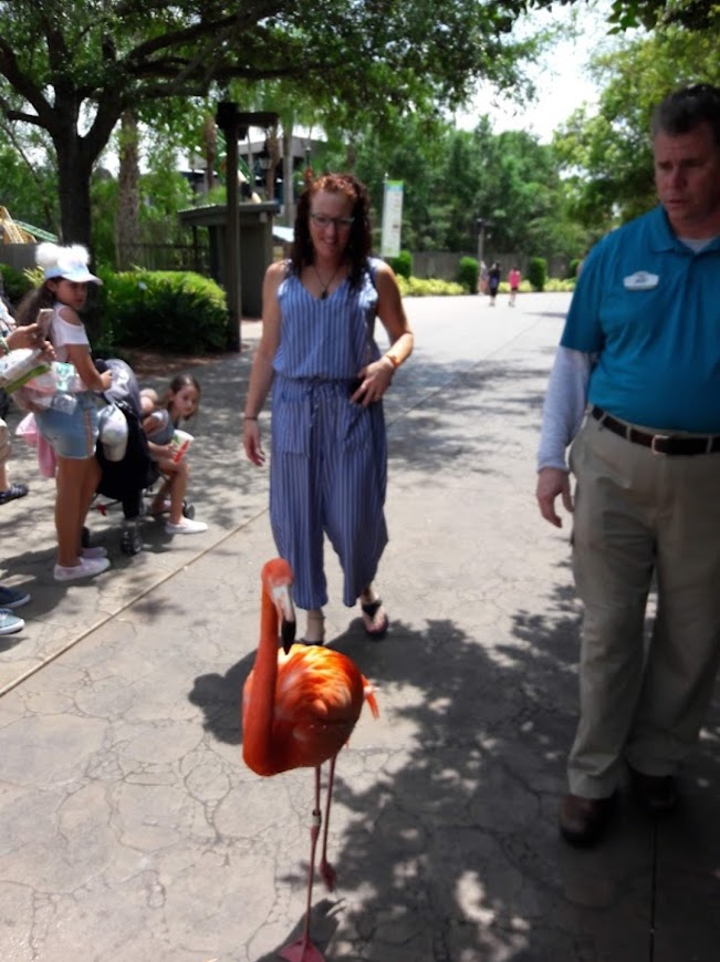 me with a flamingo