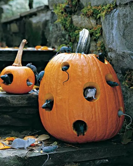 real pumpkins with faux mice peeking through holes