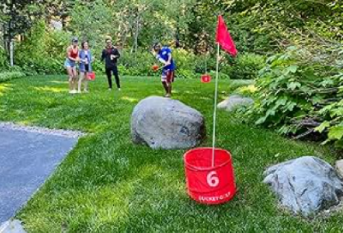 outdoor bucket golf game