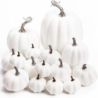 white pumpkins jar filler