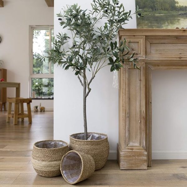 indoor tree in a basket by a fireplace