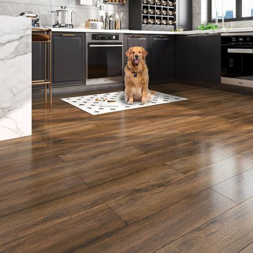 wood flooring with a dog sitting on a rug kitchen fixes for little $$