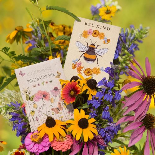 seed packet place cards