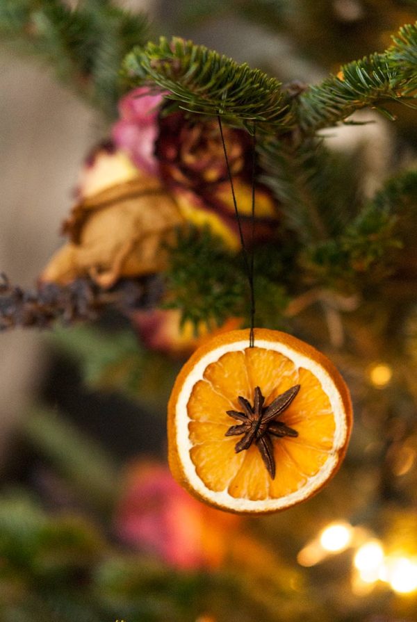 a dried orange and clove ornament on a Christmas tree