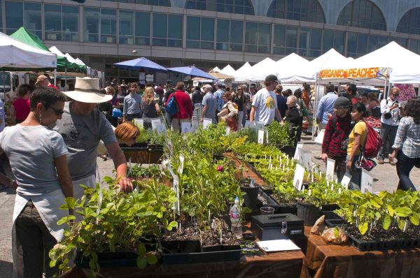 out side farmer's market the best spring date ideas