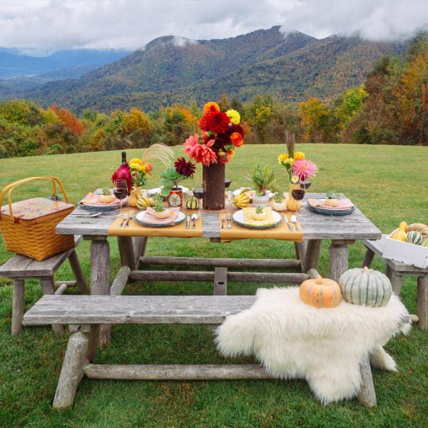 rustic picnic set for a meal in a field by the mountains