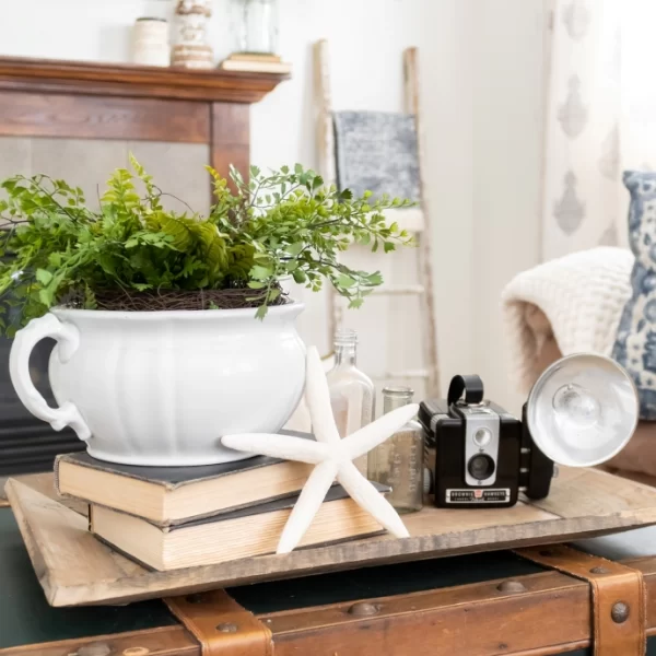 grouping of books, pottery, camera and starfish on a table