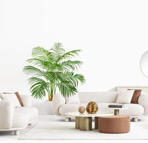 a white room with a green palm