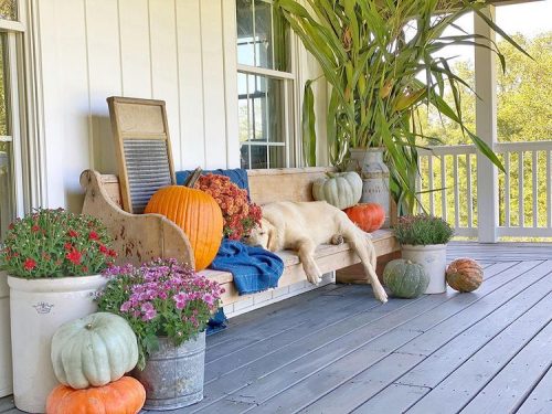 Fall front porch with dog sleeping on bench