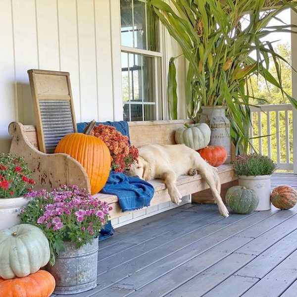 Fall front porch with dog sleeping on bench