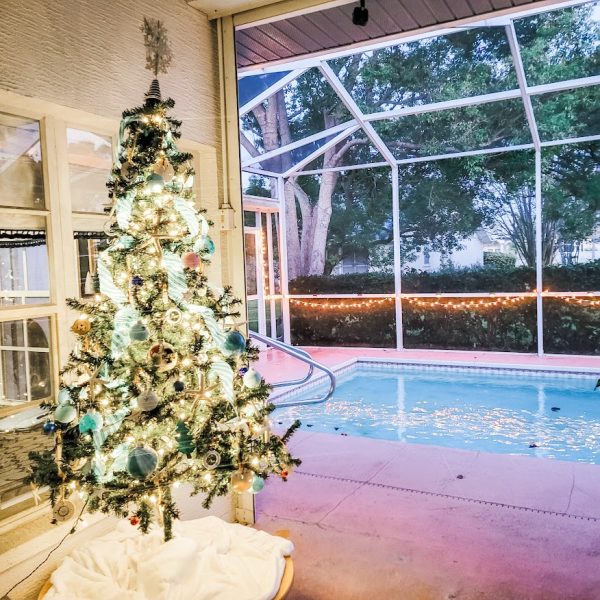 decorated Christmas tree by a swimming pool