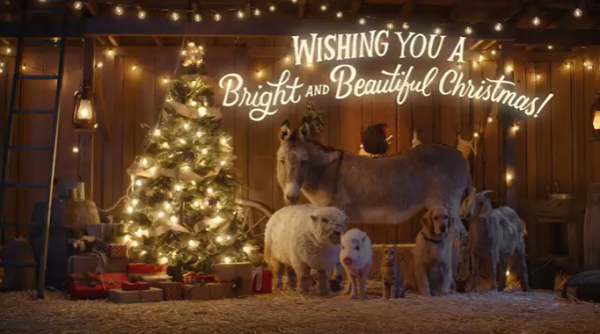 barnyard animals standing in a barn by a Christmas tree