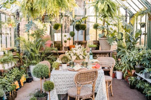 garden party in a greenhouse