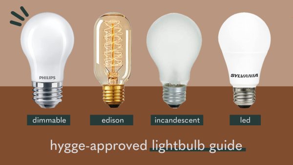 a picture of different types of light bulbs