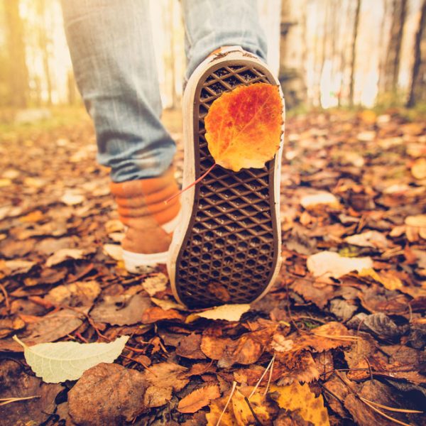 close up of a person's shoes walking through fallen autumn leaves