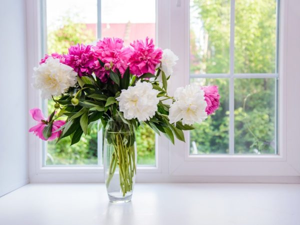 clear glass vase of white and pink flowers by a window refresh your home for spring