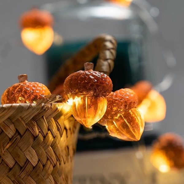 vintage acorn string lighting